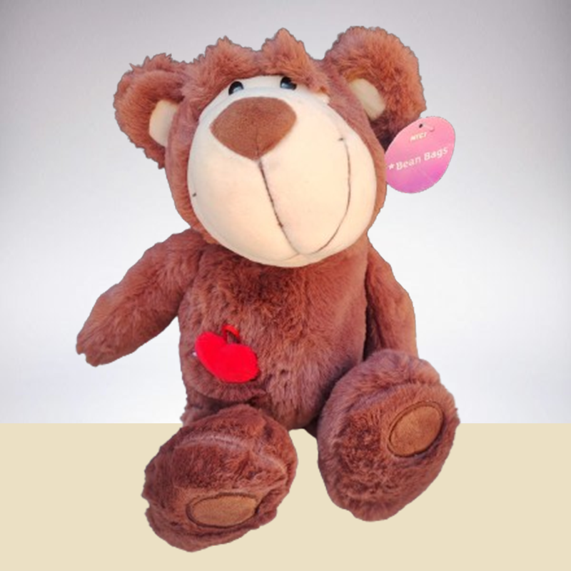 Osito de Peluche Café